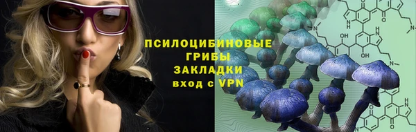молекула духа Балахна