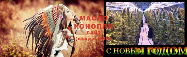 молекула духа Балахна