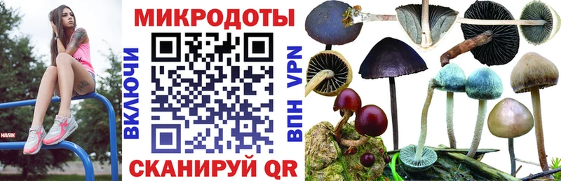 Псилоцибиновые грибы MAGIC MUSHROOMS  Малмыж 